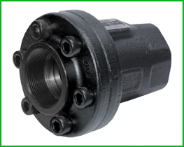 Mặt cắt swing check valve Balon Series C